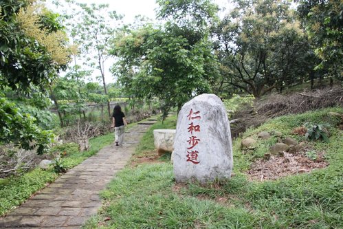 湖口 仁和、金獅步道健行 (2012.11.05)