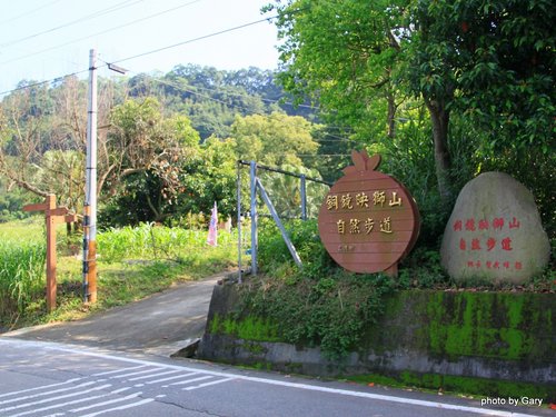 三灣 銅鏡村映獅山自然步道賞桐花 (2013.04.29)