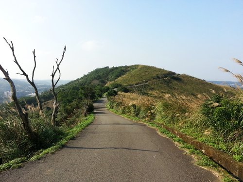 楊梅 秀才登山步道+大平山環山車道 (2012.12.07)