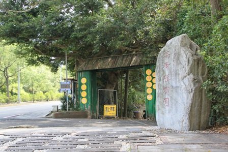 竹科旁的高峰植物園步道