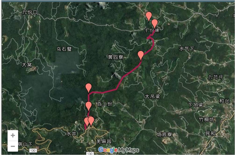 苗栗  十分崠古道(出關古道東段)、新百二份山、鹿仔望峯 (2017.02.04)